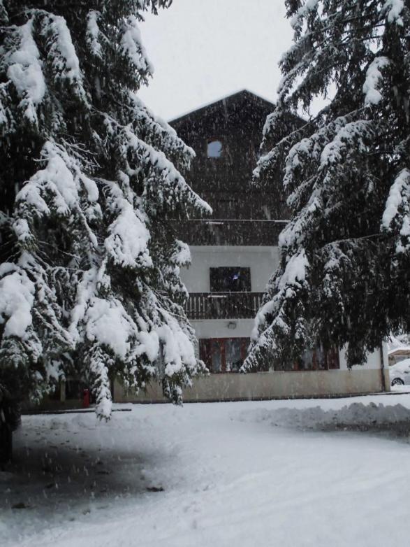 Casa Alpina Dobbiaco Exterior foto